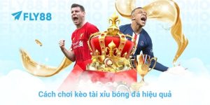 FLY88 90zs8 🎖️ Link FLY88.COM Chính Thức | Đăng Ký FLY 88 - Betfrontier88