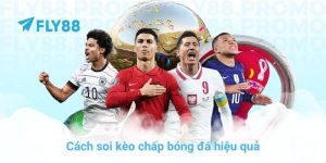 FLY88 90zs8 🎖️ Link FLY88.COM Chính Thức | Đăng Ký FLY 88 - Betfrontier88
