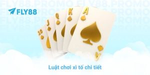 FLY88 90zs8 🎖️ Link FLY88.COM Chính Thức | Đăng Ký FLY 88 - Betfrontier88