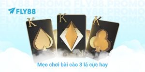FLY88 90zs8 🎖️ Link FLY88.COM Chính Thức | Đăng Ký FLY 88 - Betfrontier88